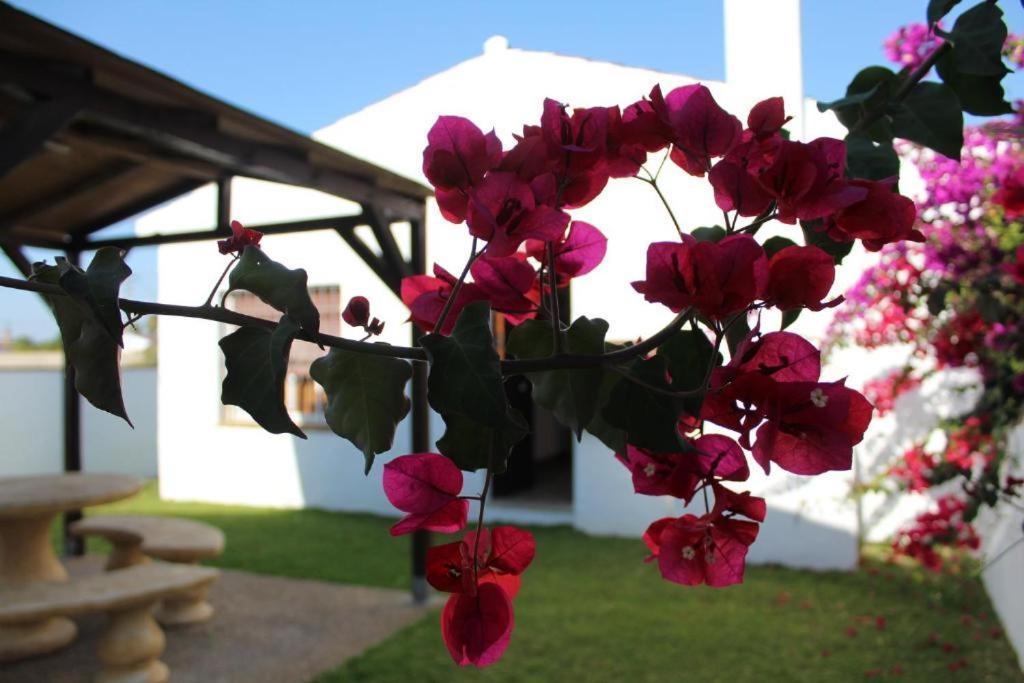 Hacienda Los Majadales Conil de la Frontera Kültér fotó