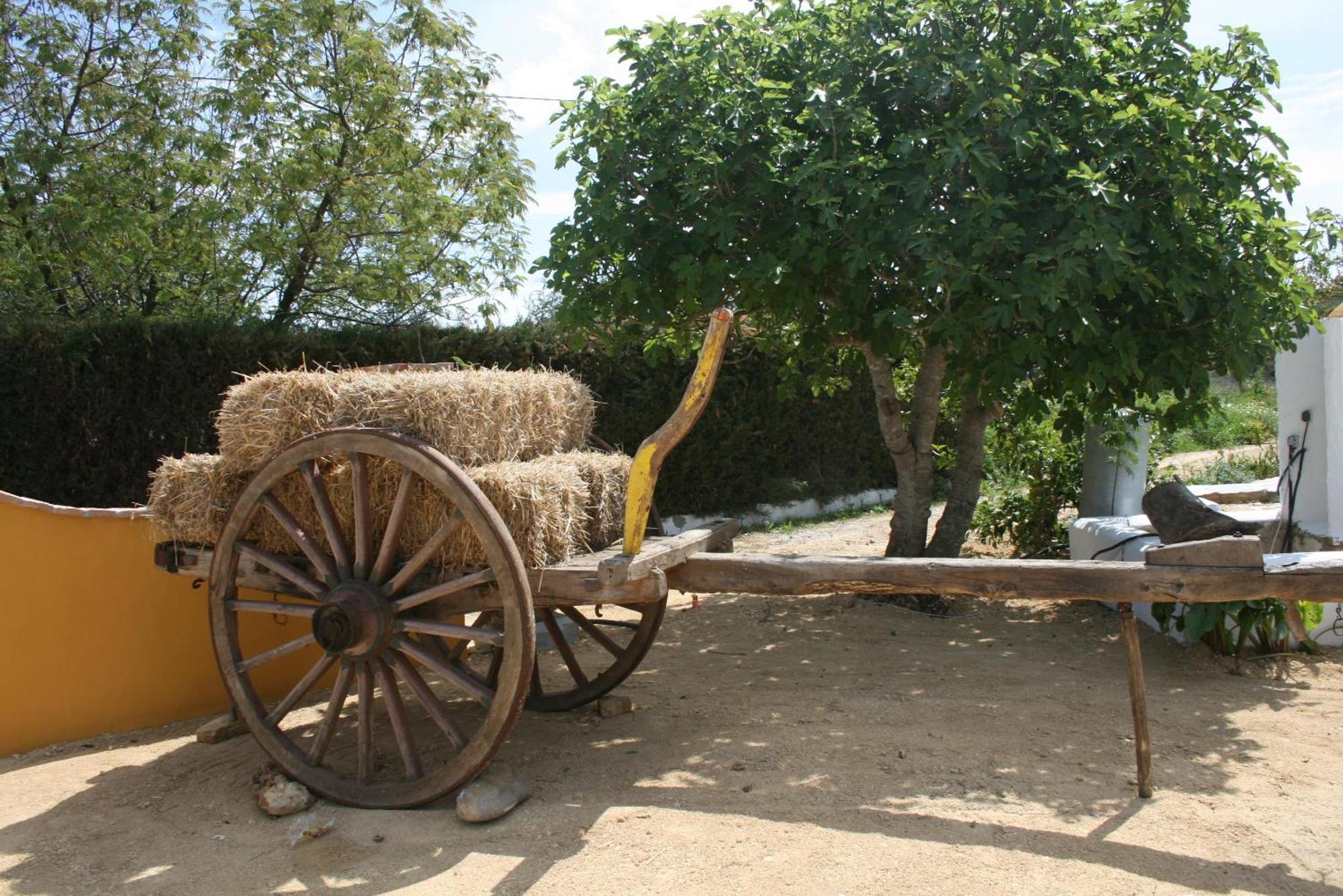 Hacienda Los Majadales Conil de la Frontera Kültér fotó