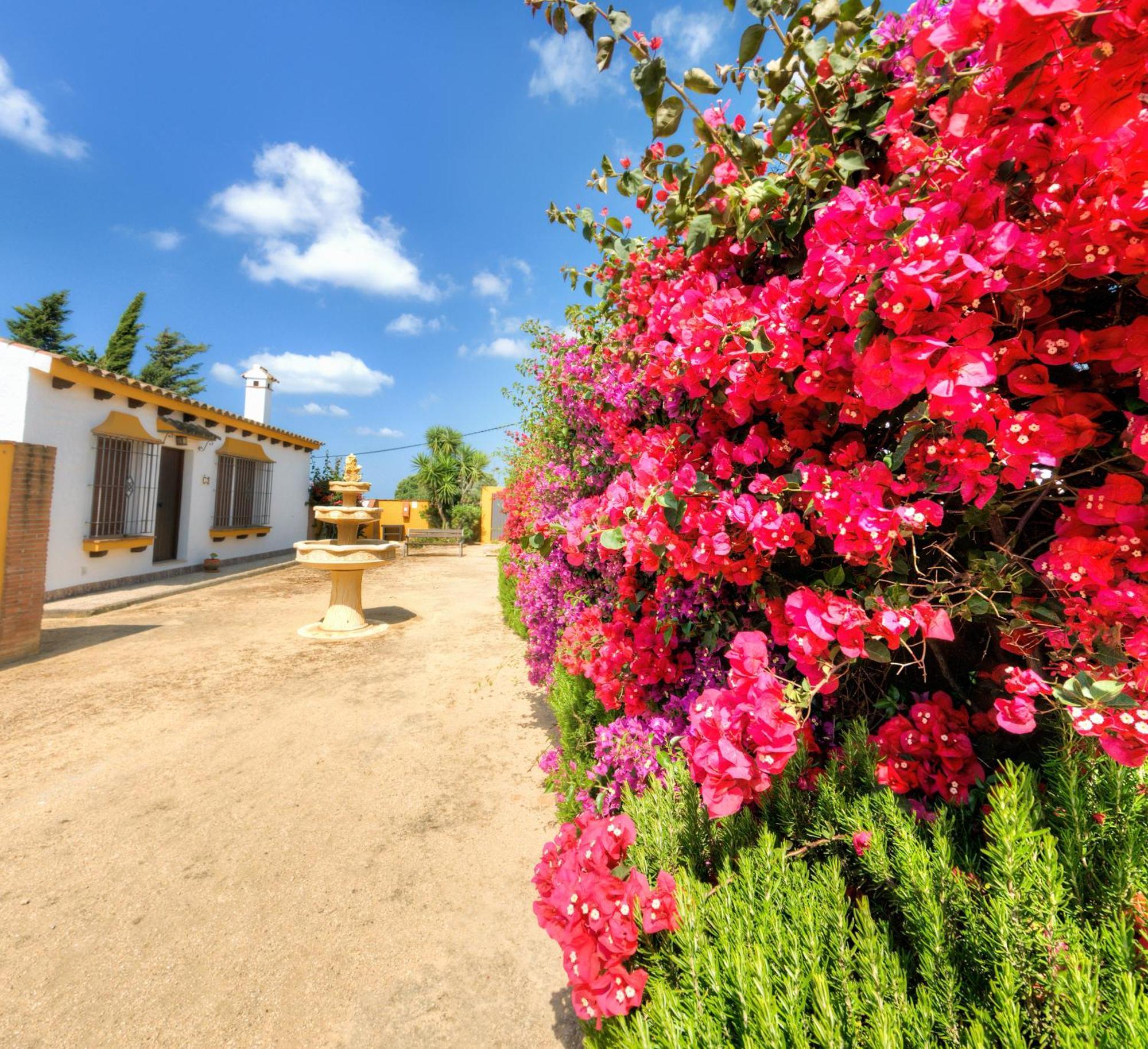 Hacienda Los Majadales Conil de la Frontera Kültér fotó
